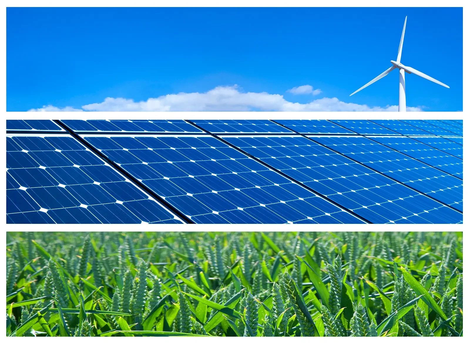 SAM leisure - Investing in a greener future